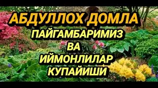 АБДУЛЛОХ ДОМЛА ПАЙГАМБАРИМИЗ ВА ИЙМОНЛИЛАР КУПАЙИШИ.