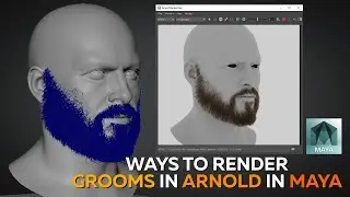 Ways to render grooms in Arnold in Maya / Houdini / 3D