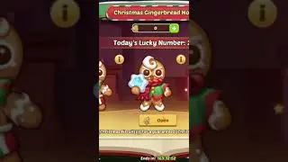Idle Heroes Christmas Gingerbread Openings! 
