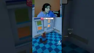 mi pobre milo se hizo chicharron 