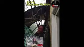 DAY BY DAY NG PAGGAWA SA BUBONG NG WALL GARDEN