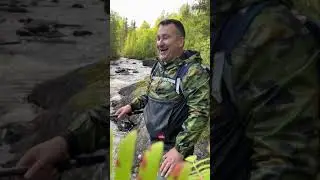 Горят костры рябин!