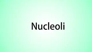 How to pronounce Nucleoli