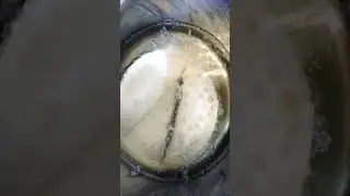 Любите ли вы чебуреки, так как любою их я?