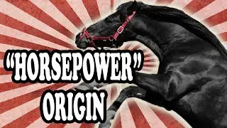 Why Engines are Commonly Measured in Horsepower