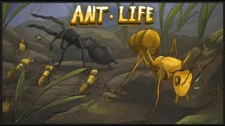 Bringing the Great YCA Empire back to it's Rightful Power! - Ant Life V2 Stream