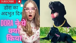डोरा का Surprising दिन 😎