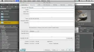 Adobe CS6 Design Web Workflow 2012  Organizing Assets in Adobe Bridge  05   Working with Metadata