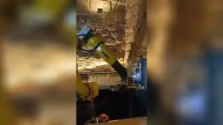 Paco, el camarero robot