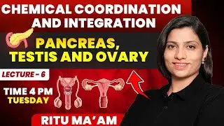 Pancreas, Testis and Ovary Lecture 6 | Chemical Coordination and Integration| Ritu Rattewal