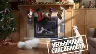 Кино про лучших друзей человека