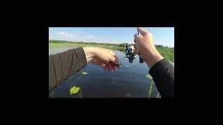 #мормышинг