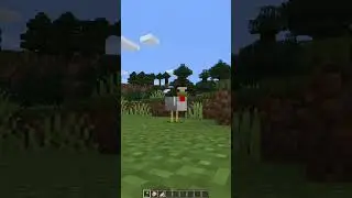 Minecraft mods 