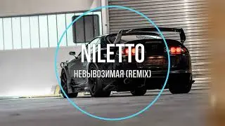 NILETTO - невывоЗИМАя (remix) Новинки Музыки 2021
