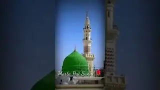 Eid Milad Un Nabi Status 2019 __ 12 Rabi Ul Awal || Best Status || Special Status ||