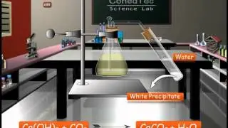 CBSE 10th class Science -  Chemical Properties of Acids and Bases