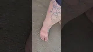 #fish