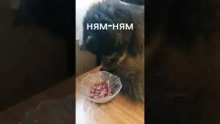 Клубника
