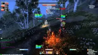 ESO Lvl  50 Organized Fights