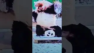 How to make a short video on YouTube