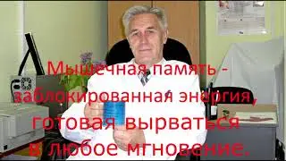 Как в мышечной памяти хранятся пережитые стрессы