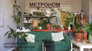Метроном - общая концепция использования | Уроки на кахоне и джембе для начинающих | обучающее видео