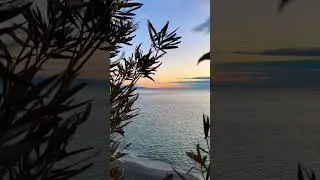 Весенний день🌅 #море #весна #природа #мирвокруг #крым #черноеморе #trevel #shorts