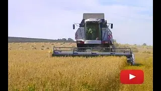 Уборка урожая на полях ОПХ Курагинское
