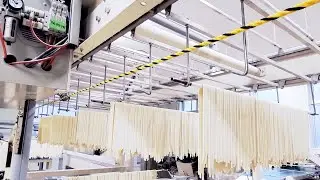 Sneaking into the Japanese wheat noodle production factory!