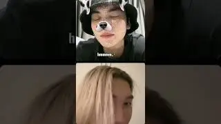 bossnoeul 