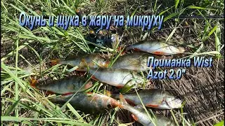 Окунь и щука на микроджиг летом.