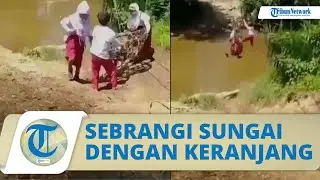 Viral Video Perjuangan 3 Bocah SD Menuntut Ilmu, Sebrangi Sungai dengan Bergelantungan di Keranjang