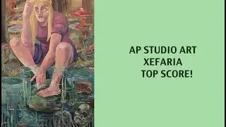 AP STUDIO ART PORTFOLIO   (I GOT A 5!!)