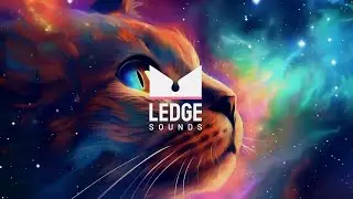 Winslow - Orange Cat Riddim