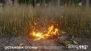 Лес не пепельница! Останови огонь!