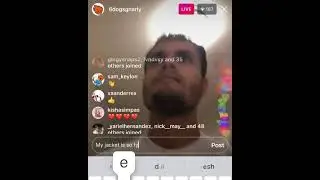 6 dogs IG live