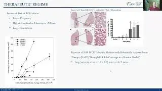 Frank Wolfram: The Vulnerable Alveolar Air-Tissue Interface