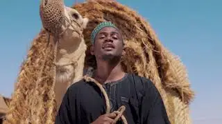 MDM sun saida kassa x  ElsaxForce Morale