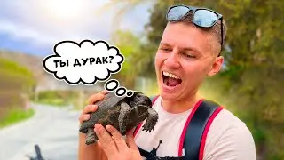 ПОЕХАЛ В ГОРЫ НА ВЫЖИВАНИЕ ⛰ 10КМ ПОДЬЕМ ВВЕРХ НА ВЕЛИКЕ 🚴‍♀️