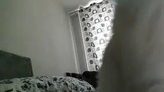 Крутой Котик 2006 ест камеру
