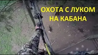 Охота с луком на кабана