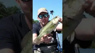 Prise étonnante dans les courants !  #fishing #bassfishing