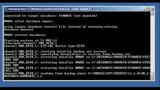 How to backup and restore an Oracle database with RMAN
