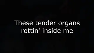 Amythyst Kiah​​​ - Tender Organs (Lyrics video)