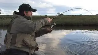 New! Salamander UL Spinning Rod