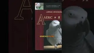 The World's Smartest Parrot | Mikhail Nikitin 