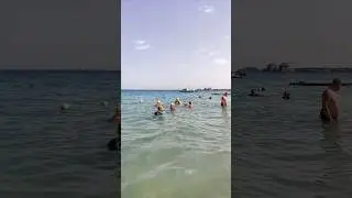 все уже плавают 