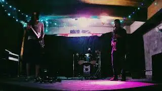 Trio Demente @Vacas Verdes