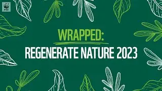 🎁 Wrapped: Regenerate Nature 2023 - Season's Greetings! 🌱