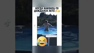 морская 🐢